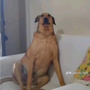 Meet your Posher, Booty